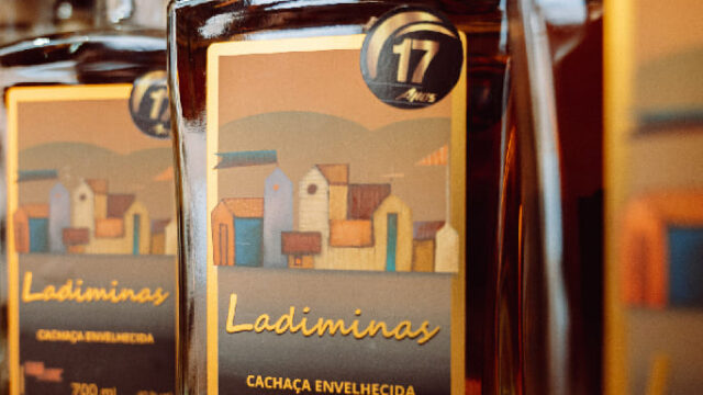 ladiminas03_683x1024