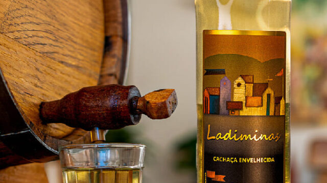 ladiminas06_683x1024